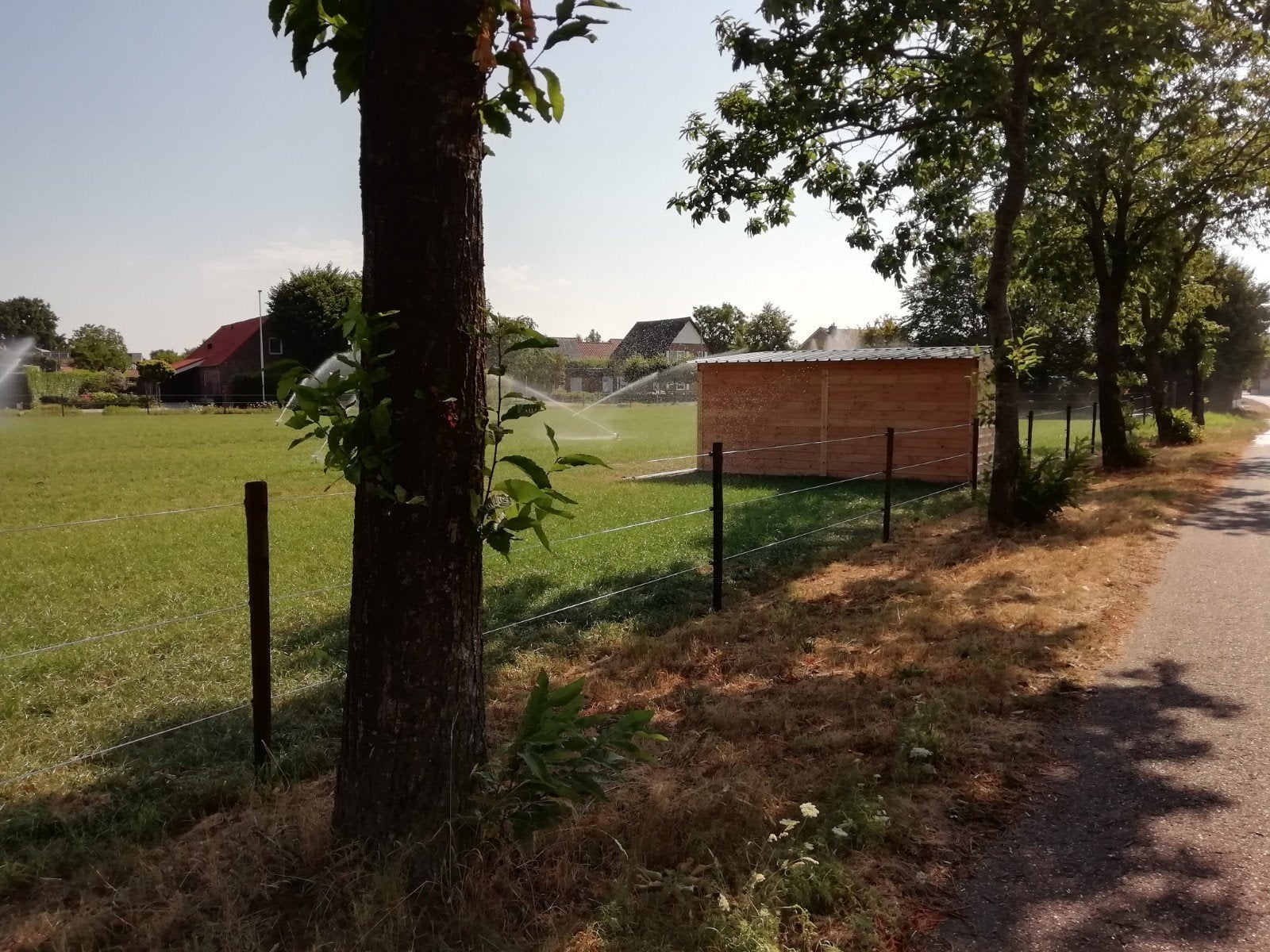 weidegang voor paarden, Dieren en Toebehoren, Weidegang