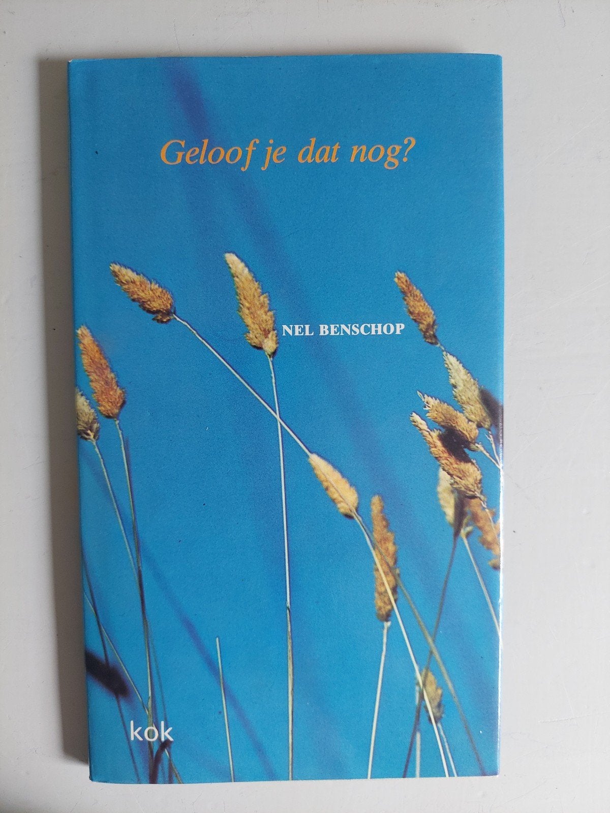 4 boeken van Nel Benschop: Poëziebundels, Ophalen of Verzenden, Gelezen, Nel Benschop, Nederland
