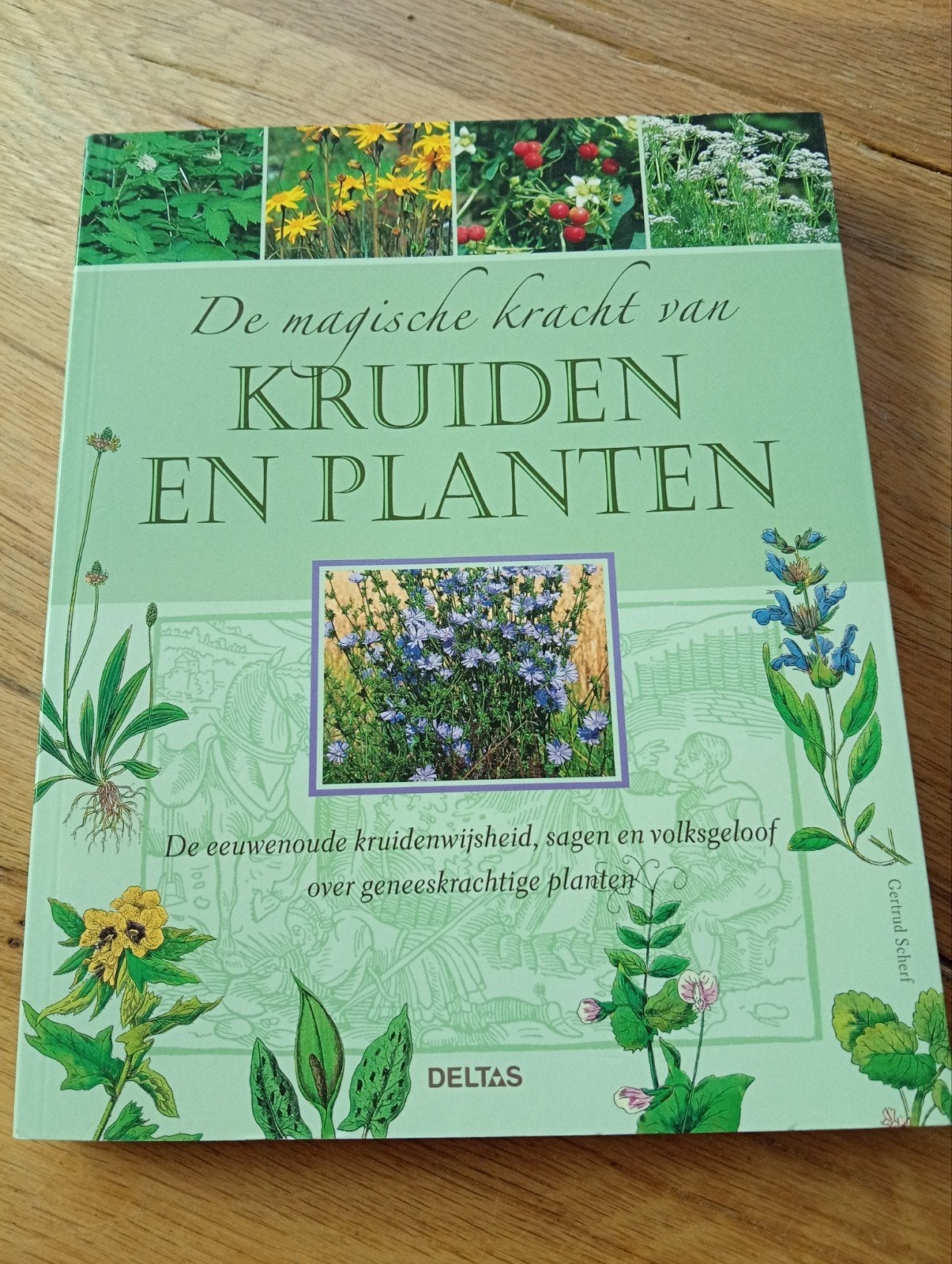 De Magische Kracht van Kruiden en Planten - Geneeskrachtig, Boeken, Ophalen of Verzenden