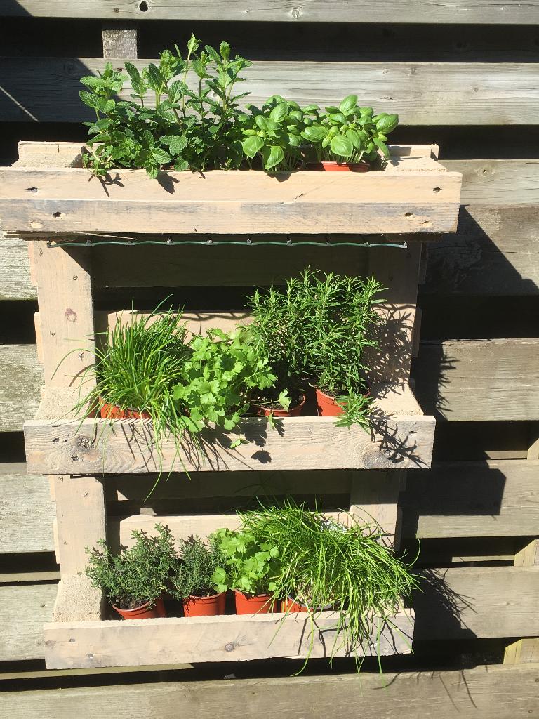 Leuk pallet plantenrek (excl. plantjes) verticaal tuinieren, Ophalen, Gebruikt, Minder dan 60 cm, Balkon