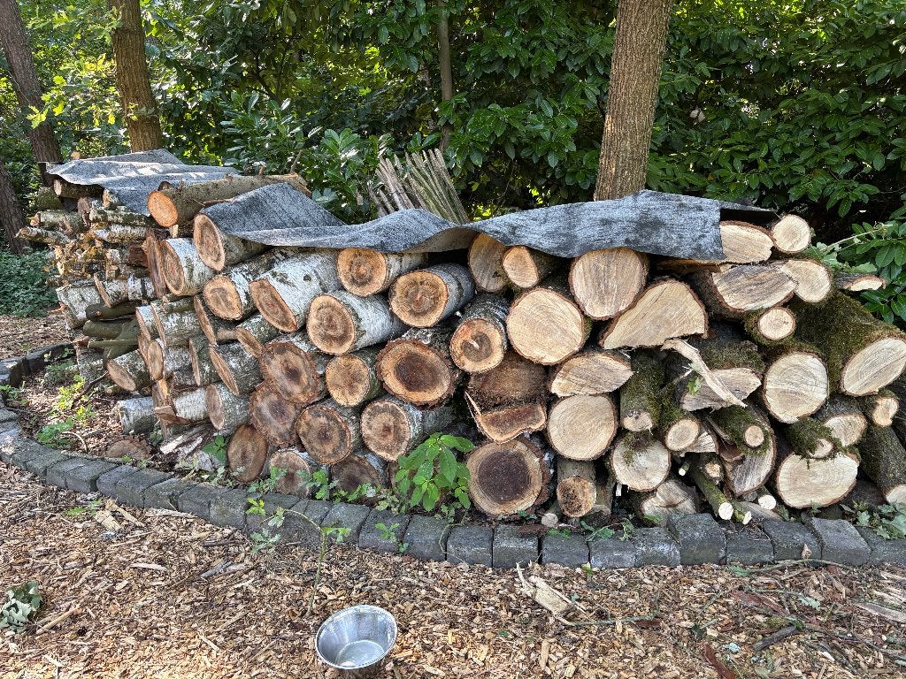 Haardhout berkenhout, 6 m³ of meer, Ophalen, Berkenhout, Stammen