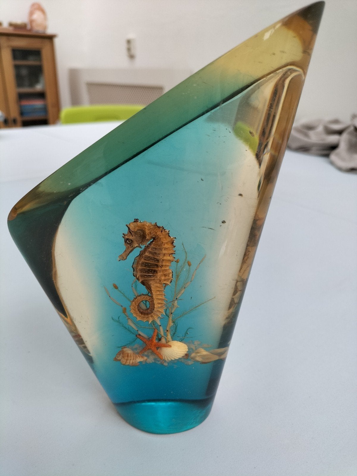 Unieke Zeepaardje in Hars Decoratie, Ophalen of Verzenden