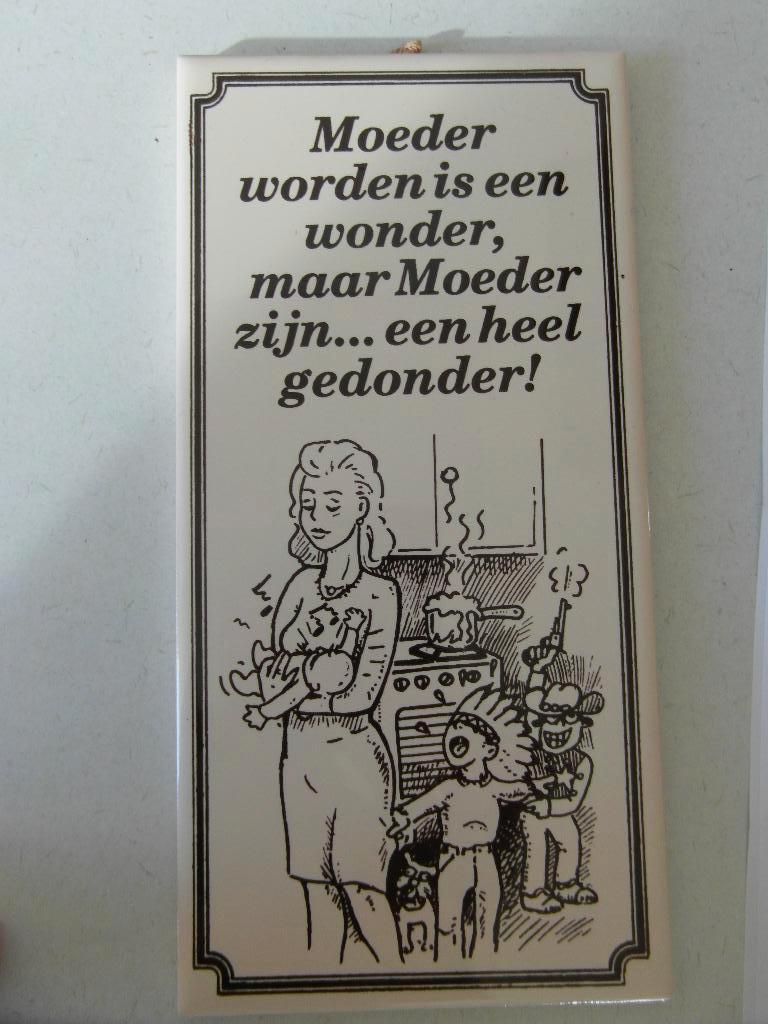 Tegel,  Moeder worden is een wonder, Ophalen of Verzenden, Zo goed als nieuw