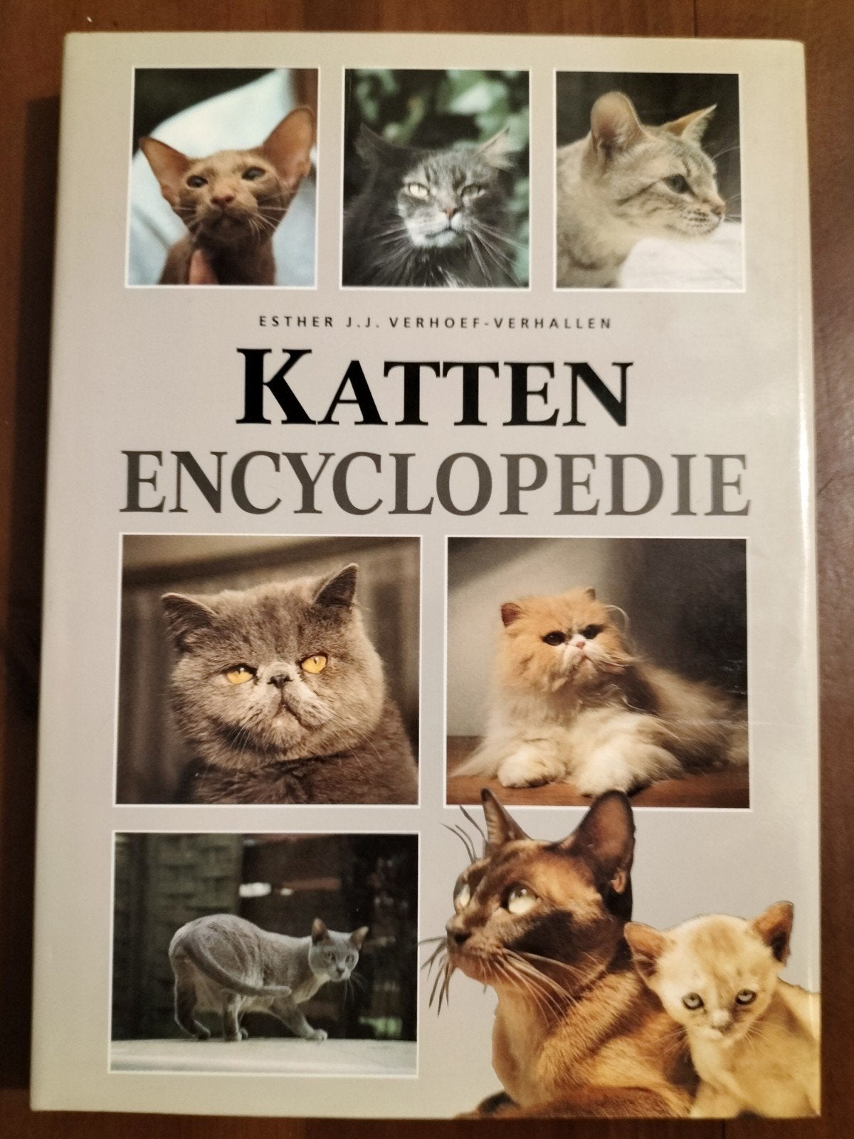 E.J.J. Verhoef-Verhallen - Katten encyclopedie, E.J.J. Verhoef-Verhallen, Ophalen of Verzenden, Zo goed als nieuw, Katten