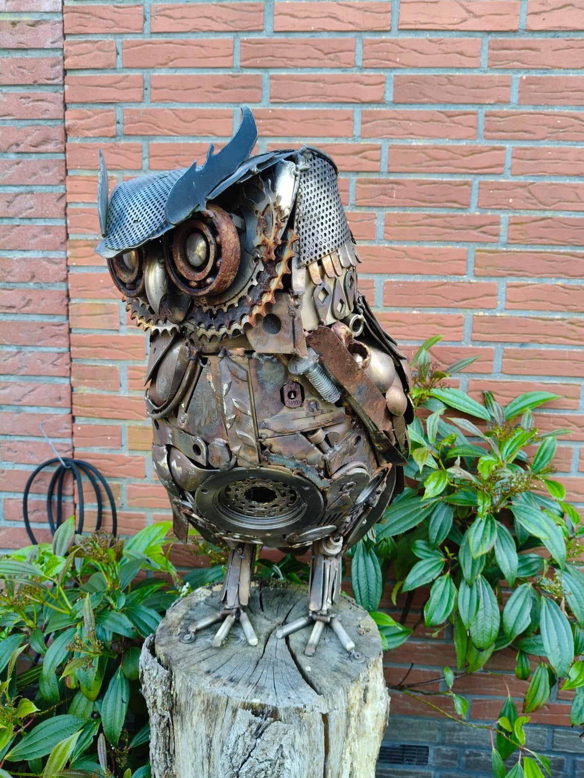 Uil sculptuur - Handgemaakt, Antiek en Kunst, Ophalen, 50 - 100 cm, Beeld, Modern