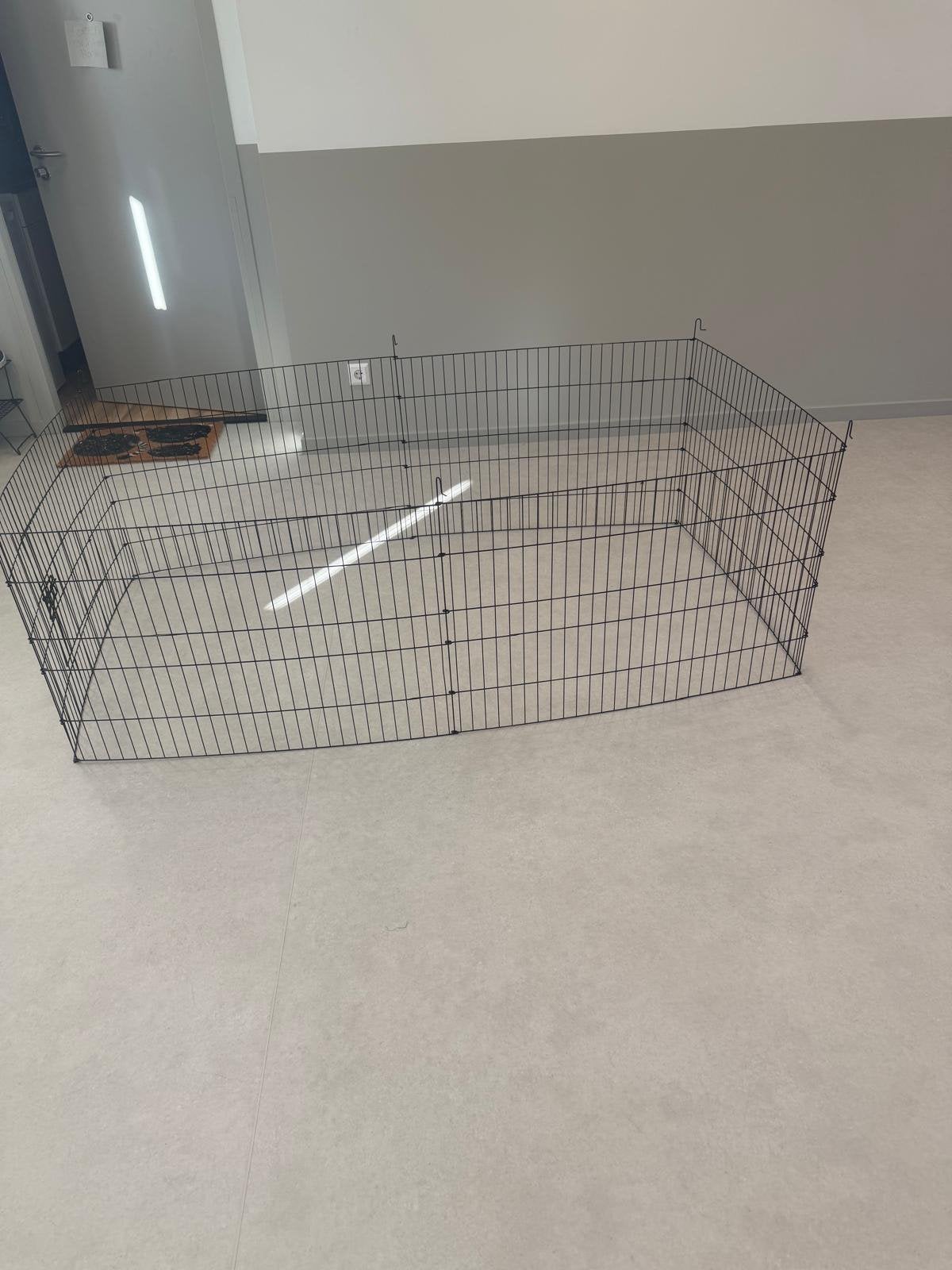 2 vrouwtjes cavia’s + spullen te koop, Overige typen, Cavia, Ophalen, Minder dan 60 cm
