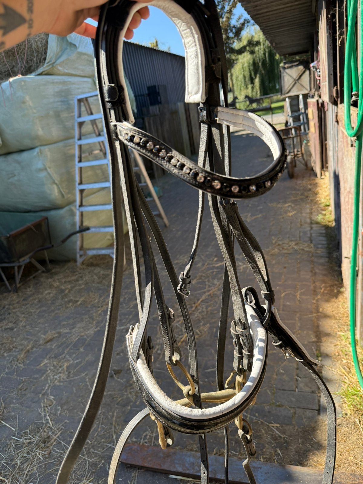 Stang en trens hoofdstel full, Ophalen, Hoofdstel, Zo goed als nieuw, Passier