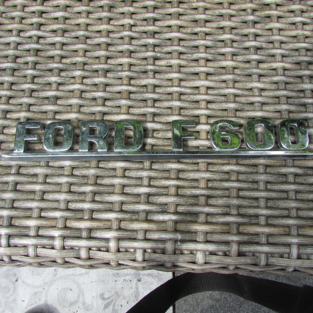 Ford F600 embleem logo jaren 50, Ophalen of Verzenden, Gebruikt, Auto's