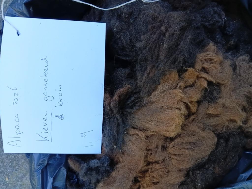 Alpaca vacht van Kieren, superzacht met veel crimp, 6 cm, Ophalen of Verzenden, Nieuw, Spinwol