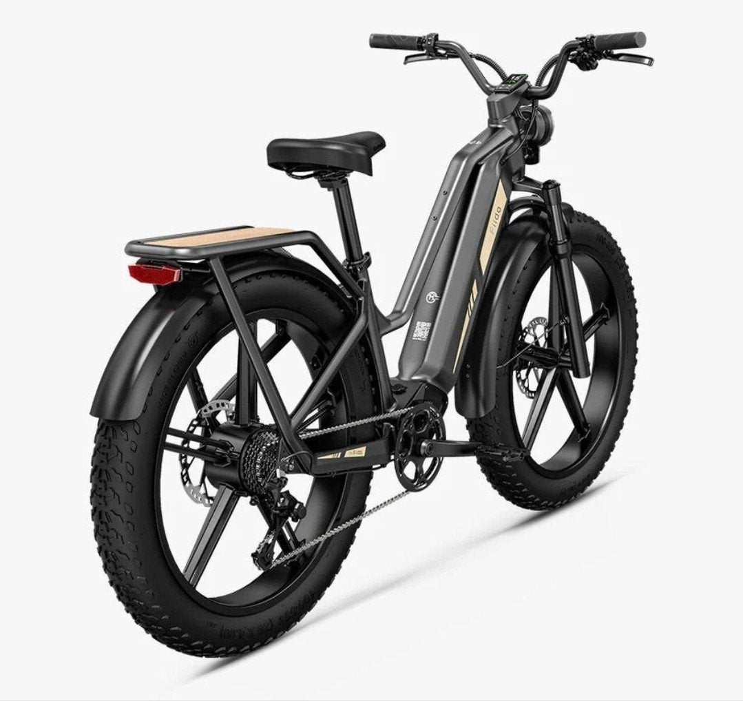 Fiido Titan Tourbike, Ophalen, Zo goed als nieuw, 50 km per accu of meer, Overige merken