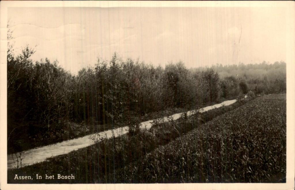 Assen - In het Bosch - bosrand, Ophalen of Verzenden, 1940 tot 1960, Gelopen, Drenthe