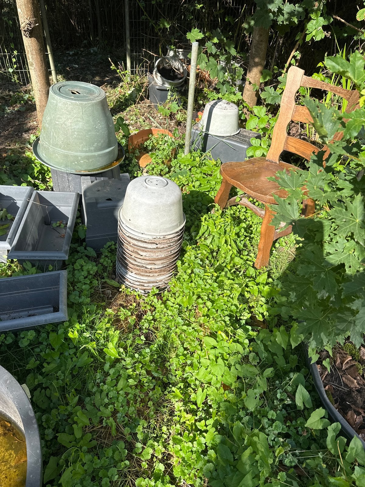 Ruim 30 kweekpotten, Tuin en Terras, Bloempotten, 25 tot 40 cm, Kunststof, Gebruikt, Rond