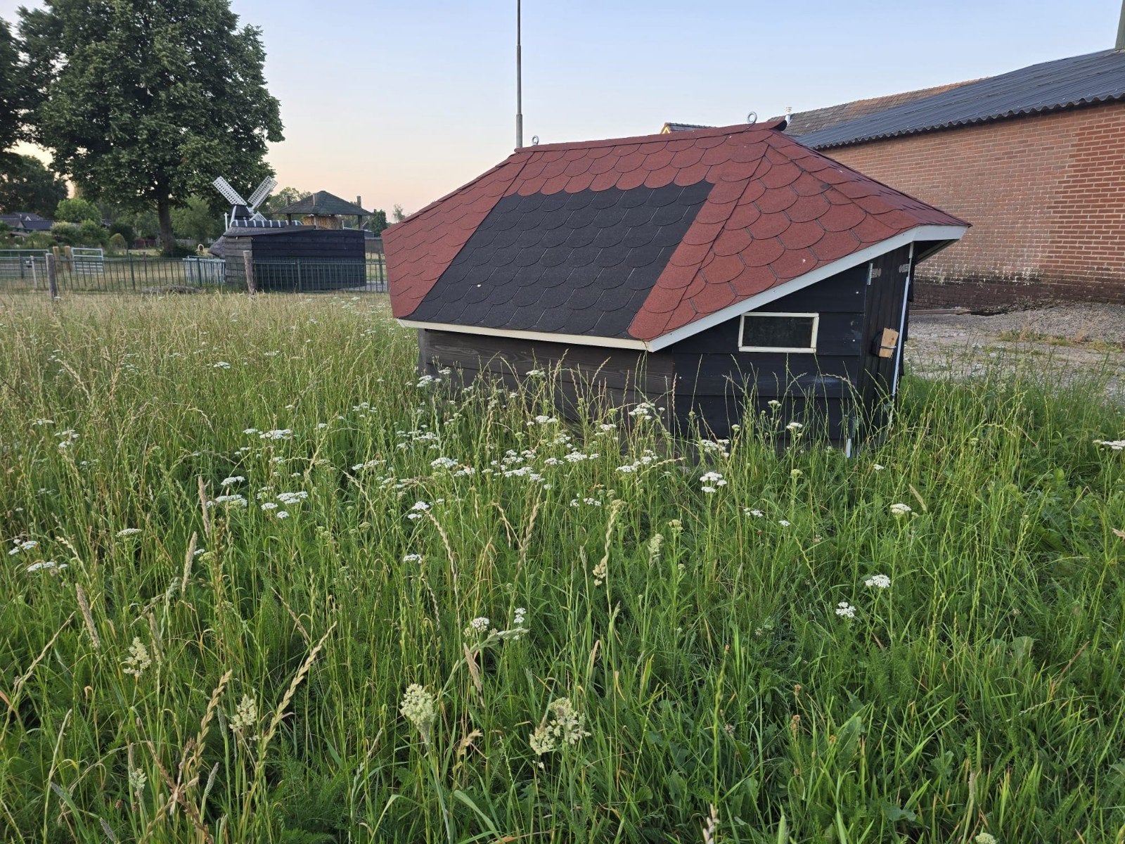 Schapen Geitenhok, Ophalen, Nieuw, Kippenhok of Kippenren