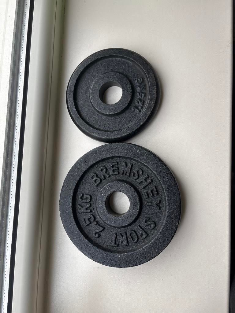 Gewichtschijven 1.25kg en 2.5kg, Ophalen, Gebruikt, Armen, Halterschijven