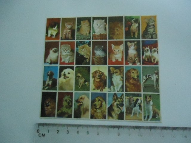 sticker oud Kat poes school vel jaren 70 seventies retro, Verzenden, Zo goed als nieuw, Bedrijf of Vereniging