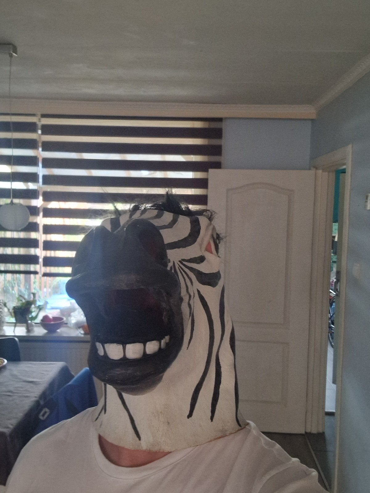 Zebra masker - Feest, Carnaval, Halloween, Hobby en Vrije tijd, Ophalen of Verzenden, Zo goed als nieuw, Toneelattributen of Onderdelen