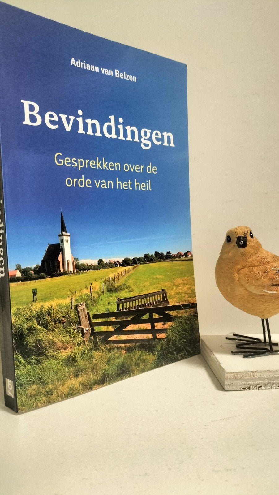 Belzen, Adriaan van; Bevindingen (gesprekken over de orde, Ophalen of Verzenden, Gelezen, Christendom | Protestants