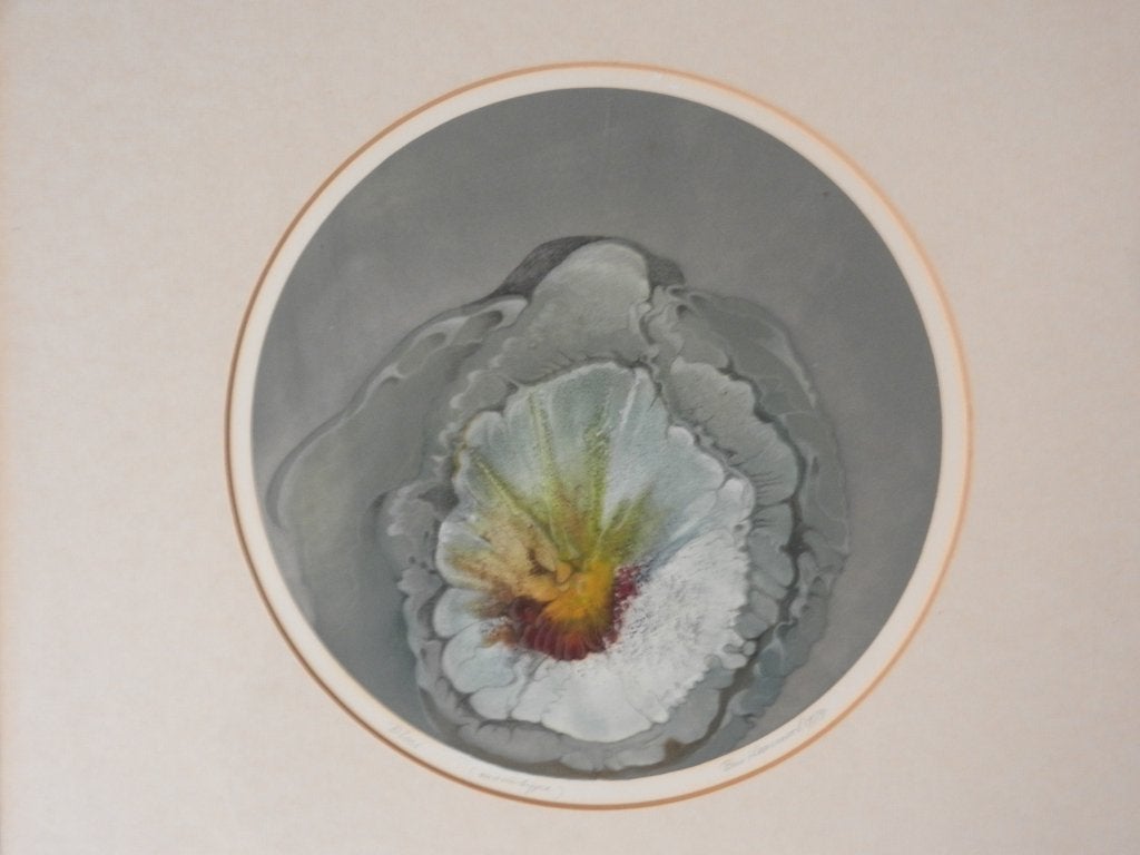 Prachtige ronde monotype titel Bloei door Bas Haasnoot 1979, 28 cm, 1950 - 1999, Overige technieken, Ophalen of Verzenden