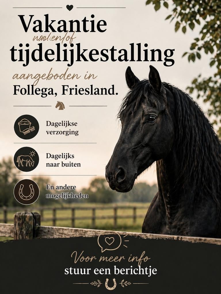 Vakantie en/of tijdelijke stalling Friesland, Dieren en Toebehoren, Paarden en Pony's | Verzorgingsproducten, Verzenden, Nieuw