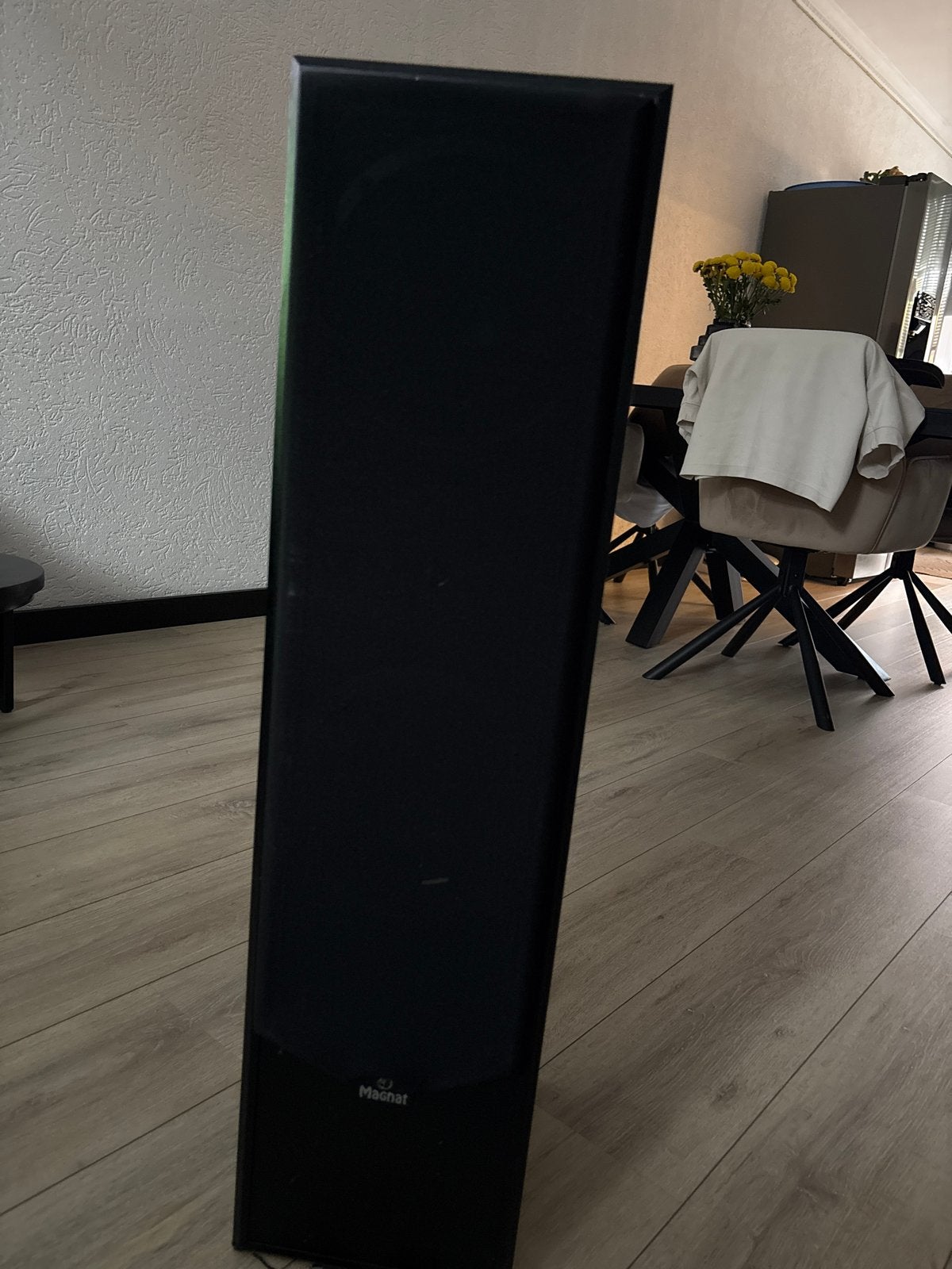 Magnat Concept 2000 (1)Vloerstaande Luidspreker, Vloerstaande luidspreker, Gebruikt, Magnat, Basreflex