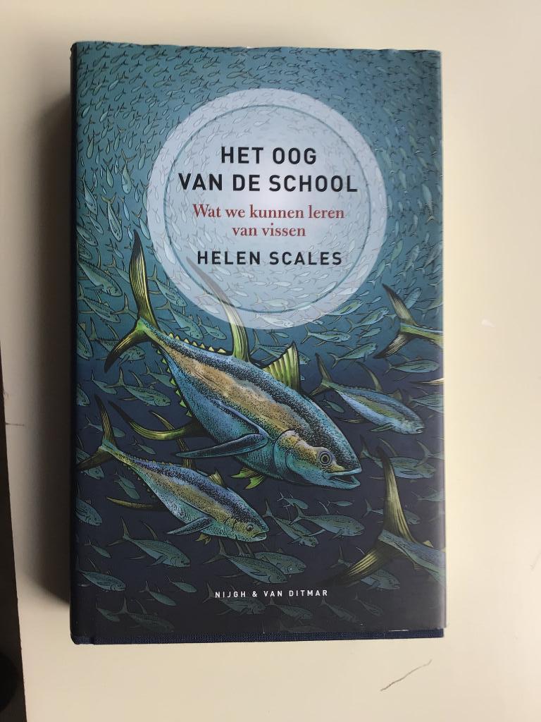 Het oog van de school, over vissen., Ophalen of Verzenden, Nieuw, Natuurwetenschap