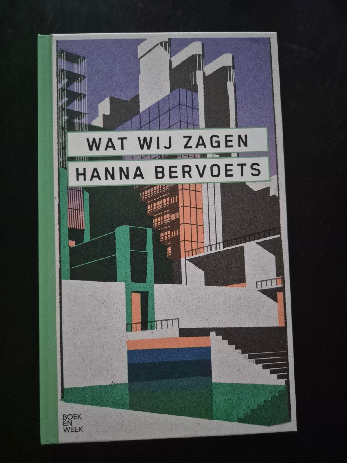 Wat Wij Zagen - Hanna Bervoets (Boek en Week), Ophalen of Verzenden, Zo goed als nieuw, Hanna Bervoets, Nederland
