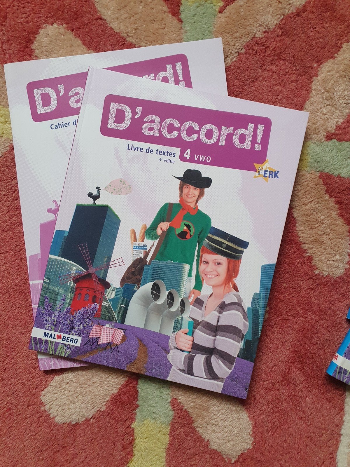 Lesboeken Frans 4 VWO, Verzamelen, Ophalen of Verzenden, Nieuw, Speelkaart(en)