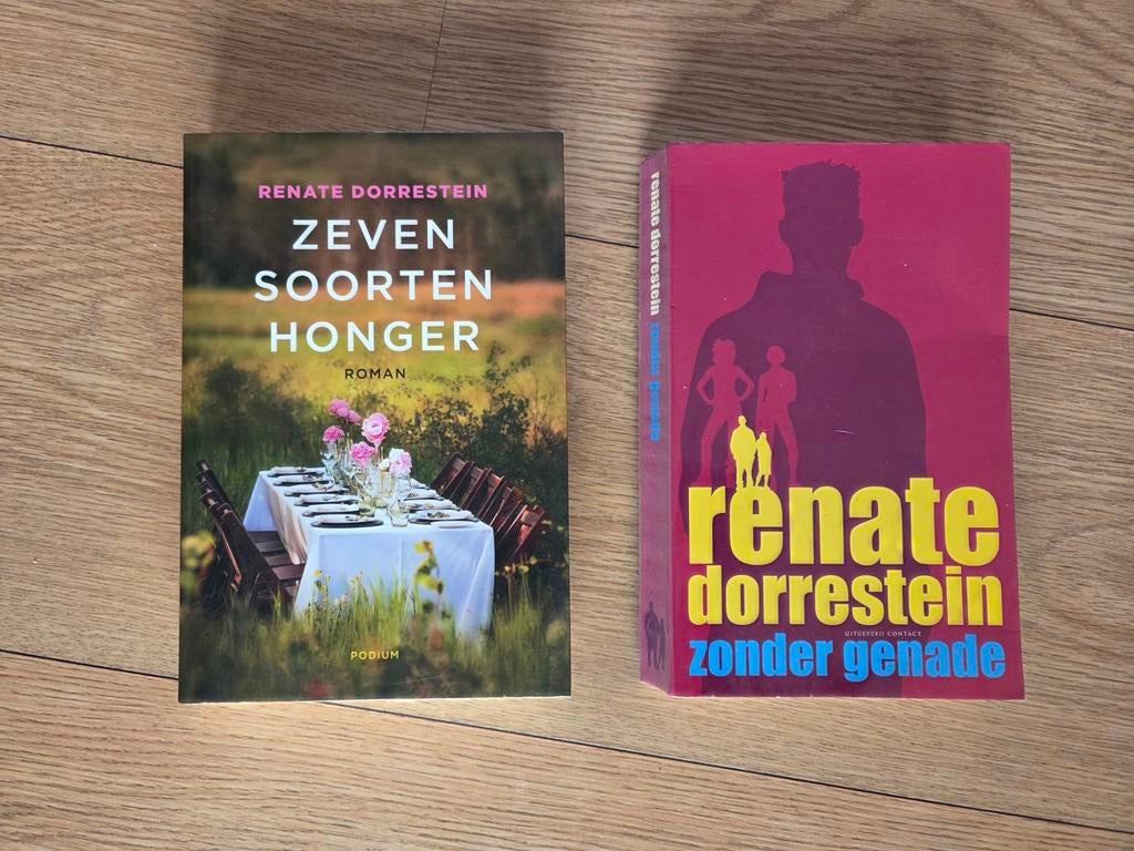 2 boeken van Renate Dorrestein, Ophalen of Verzenden, Gelezen, Renate Dorrestein, Nederland