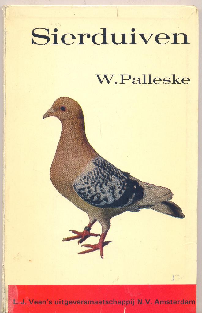 Sierduiven – W. Palleske, Dieren en Toebehoren, Vogels | Duiven, Overige soorten, Geslacht onbekend