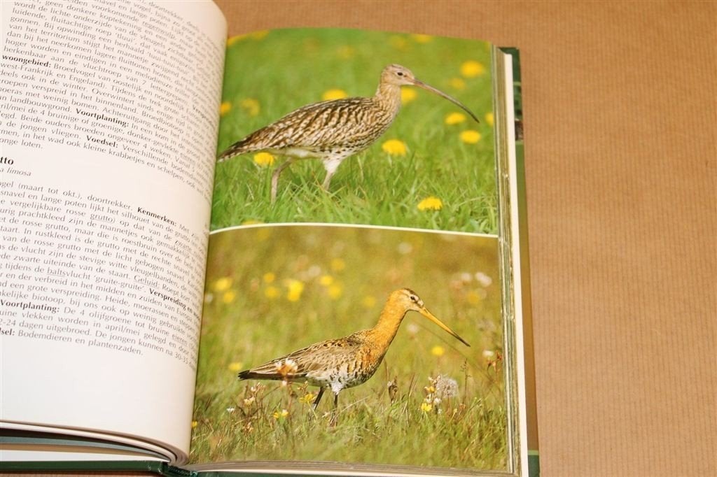 Complete Vogelgids — Kenmerken, Verspreiding & Voortplanting, Boeken, Ophalen of Verzenden, Gelezen, Paarden of Pony's
