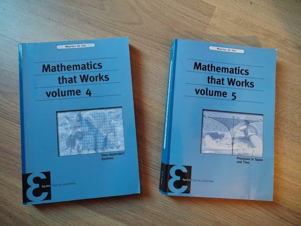 Mathematics that works | Volume 4 & 5, Gelezen, Ophalen of Verzenden, WO, Maarten de Gee