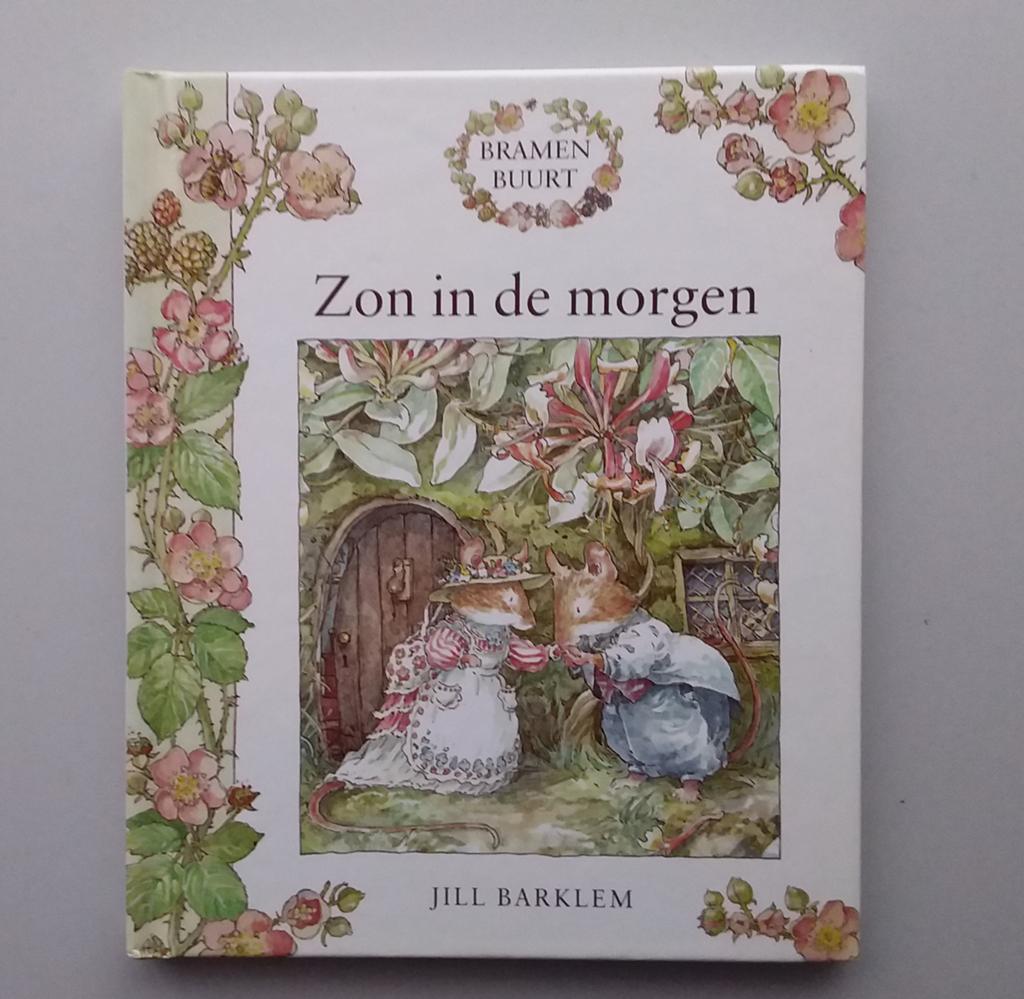 Boekje,  De bramenbuurt, Boeken, Ophalen of Verzenden, Zo goed als nieuw