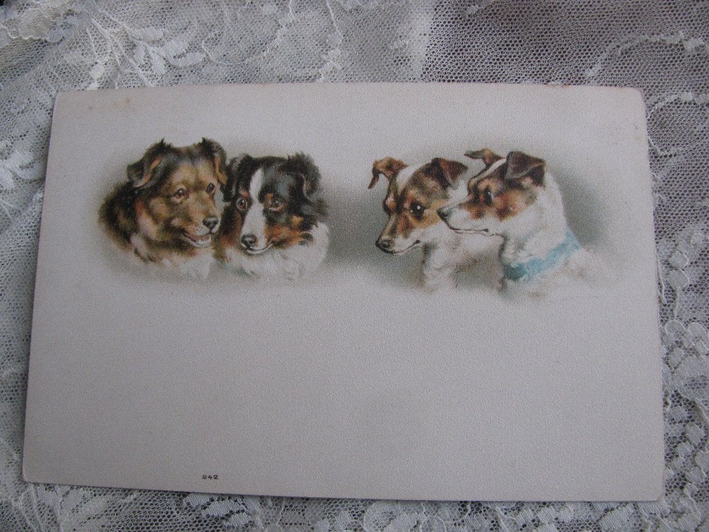 Antieke Kaart met 4 Kleine Honden / Terrier, Verzenden, Voor 1920, Ongelopen, Overige thema's