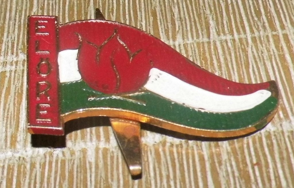 Hongarije - Badge Pionier, Ophalen of Verzenden, Gebruikt, Embleem, Speld of Insigne