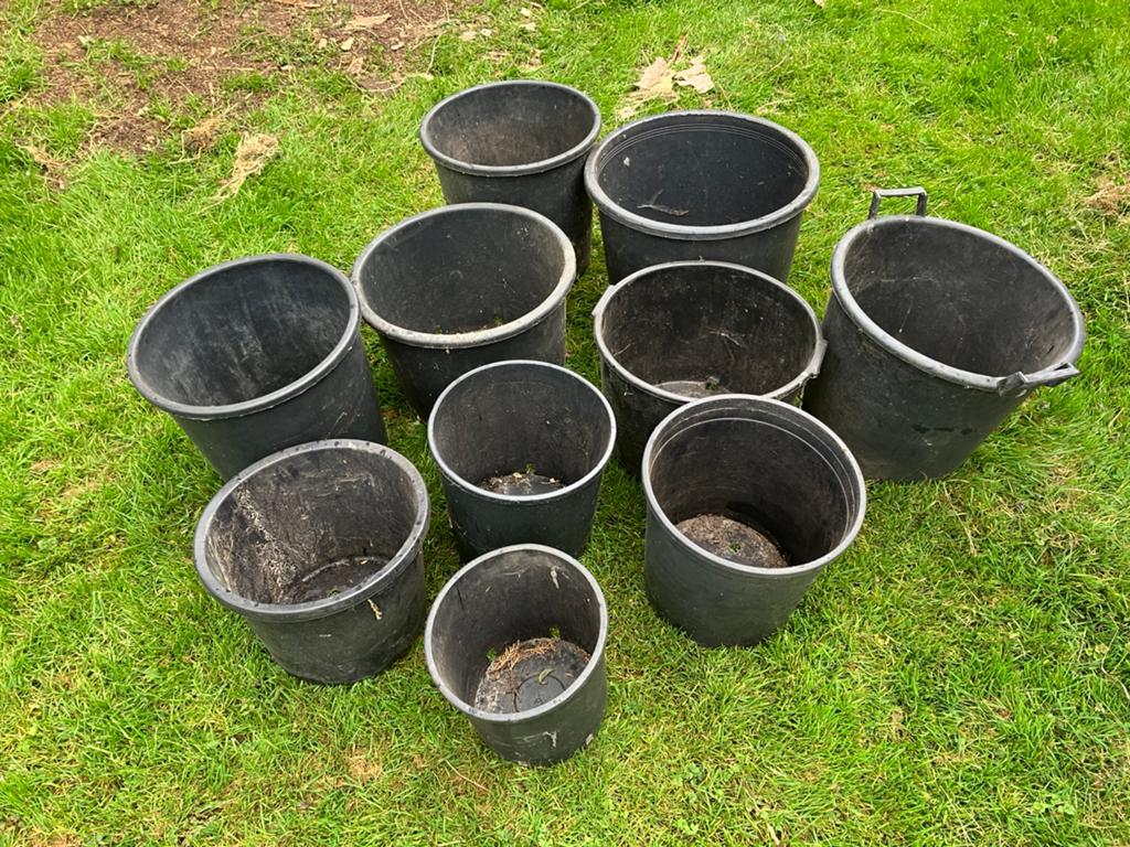 Grote Bloempotten / boompotten, Tuin en Terras, Bloembakken en Plantenbakken, Ophalen