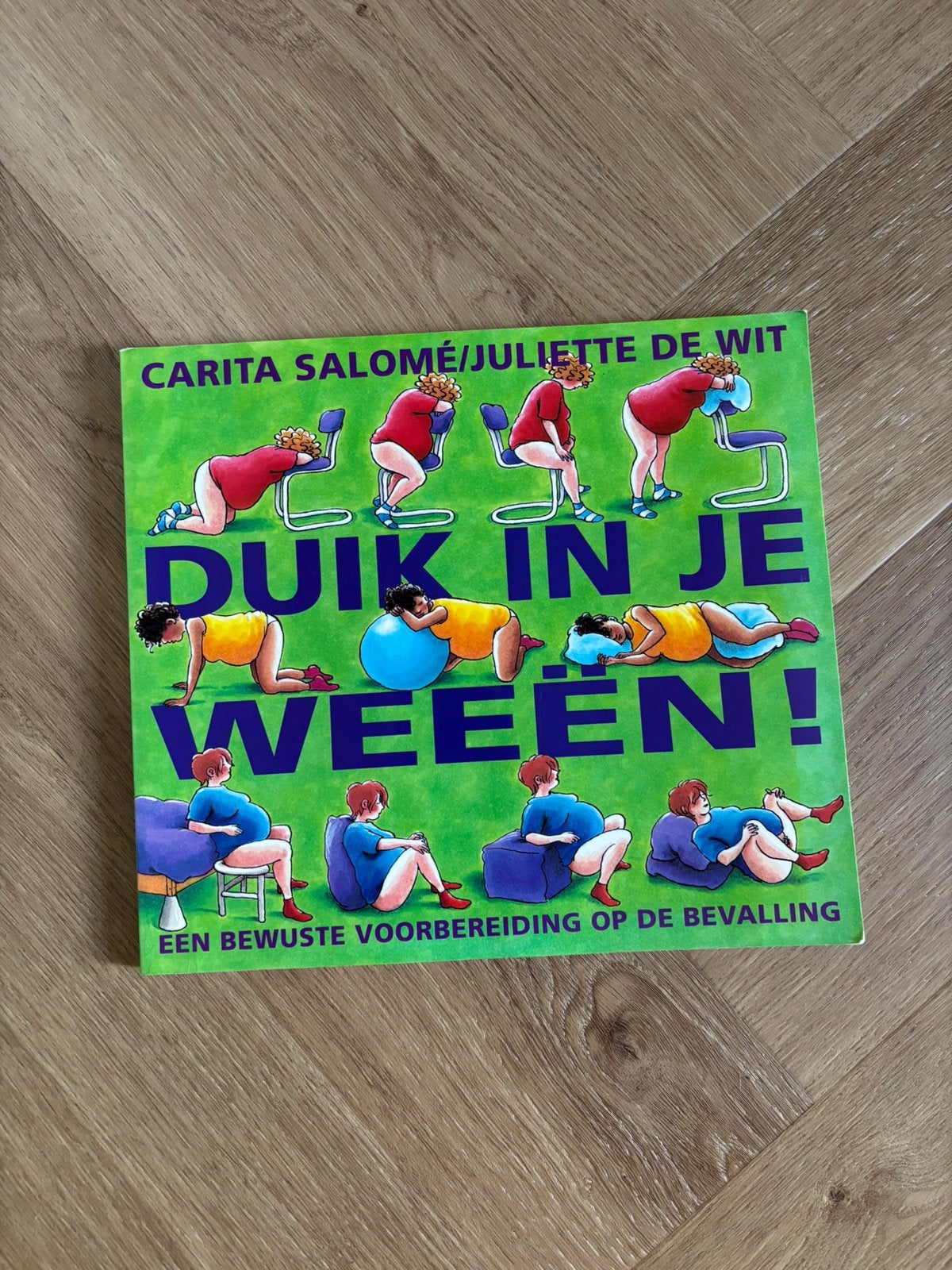 Duik in je Weeën, Ophalen, Zo goed als nieuw, Zwangerschap en Bevalling
