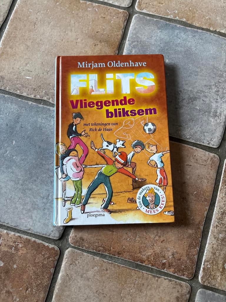 Flits: Vliegende bliksem - Mirjam Oldenhave, Boeken, Kinderboeken | Jeugd | onder 10 jaar, Zo goed als nieuw, Fictie algemeen