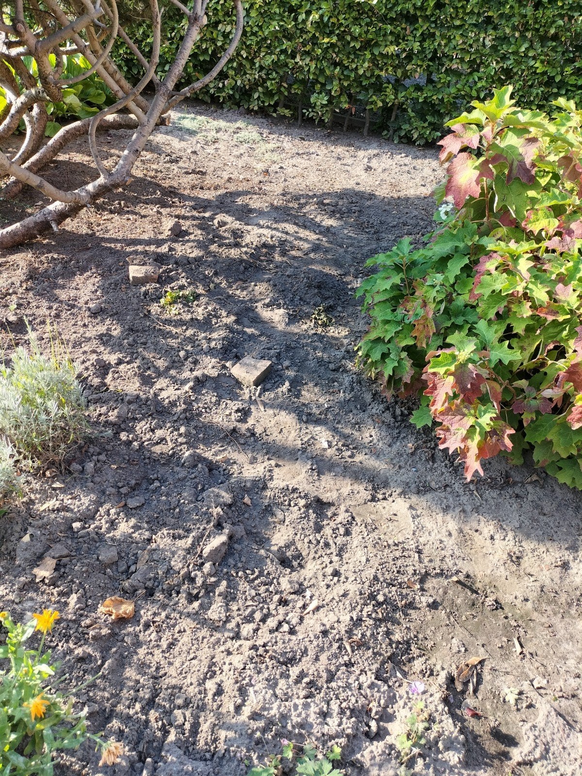 zwarte grond gemengd met klei, gratis afhalen, Tuin en Terras, Ophalen, Beton, Terrastegels