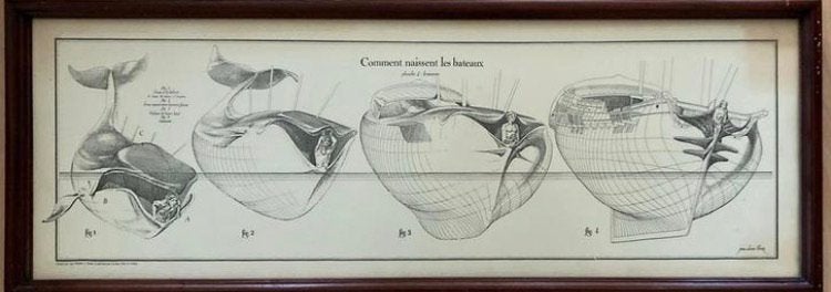 Illustratie ‘Van walvis naar boot’ van J.-O. Héron, Ophalen, Natuur, 1980 tot heden, Zo goed als nieuw