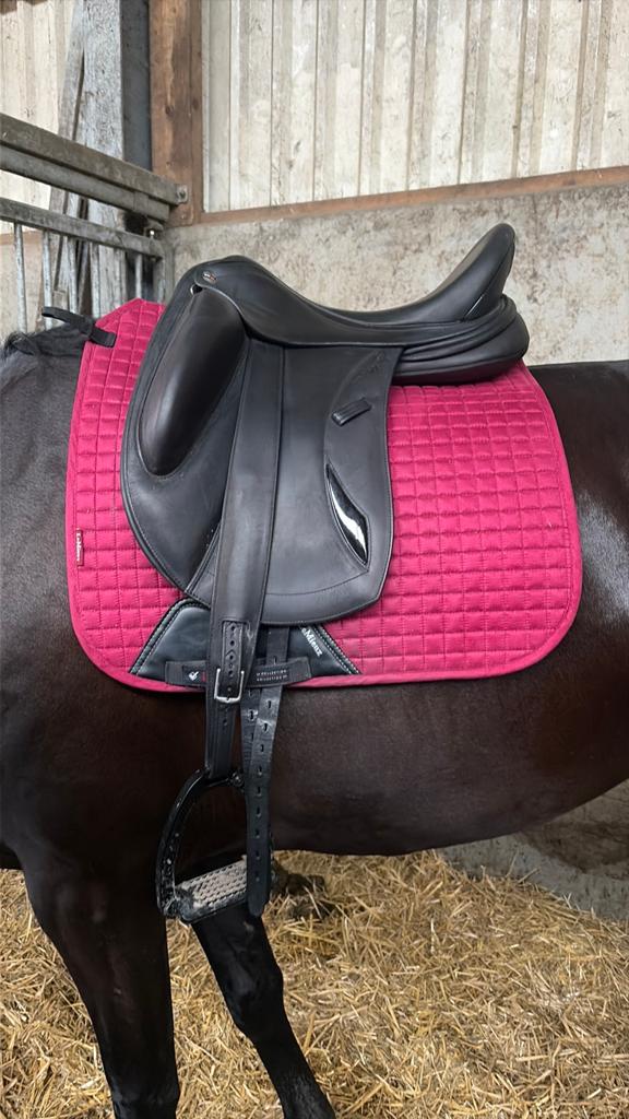 Mooi dekje van lemieux, Dieren en Toebehoren, Paarden en Pony's | Dekens en Dekjes, Full (L), Dressuurdekje, Rood, Ophalen of Verzenden