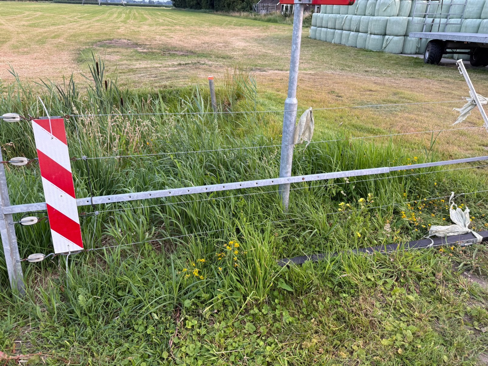 Draadpoort weidepoort verstelbaar tot +\-5m, Meerdere dieren, Geit