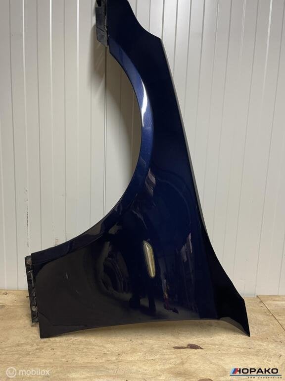 Voorscherm links BMW 5 serie E60 E61 - 317 Orient Blau, Auto-onderdelen, Gebruikt, Einsteinlaan 5 rijswijk, Bmw, Ophalen of Verzenden