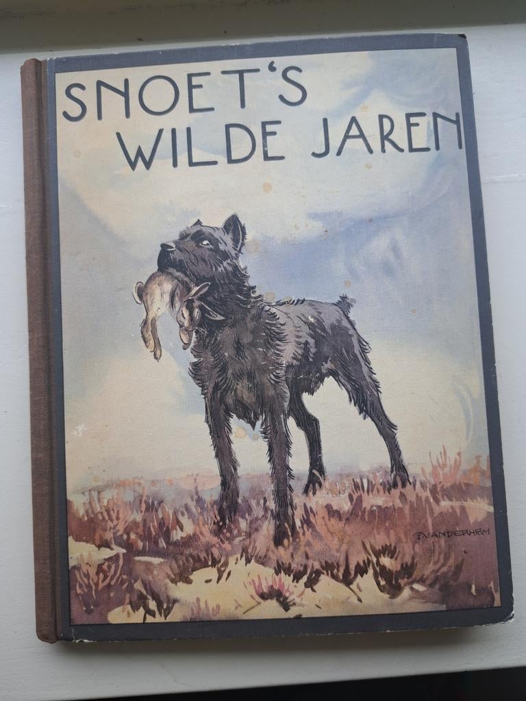 Snoet's Wilde Jaren - Henri van Wermeskerken (1932), Verzenden, Gelezen, Henri van Wermeskerken, Fictie algemeen