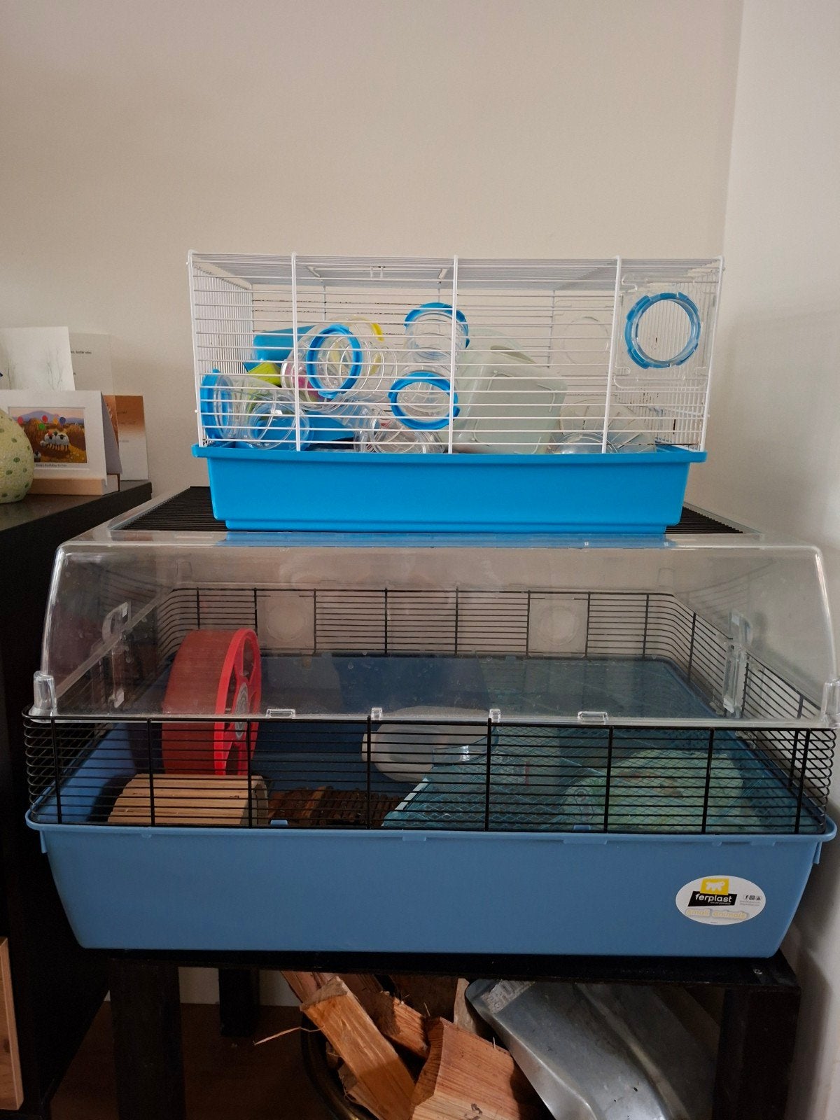 startpakket voor een hamster, Kooi, Gebruikt, Minder dan 75 cm, Hamster