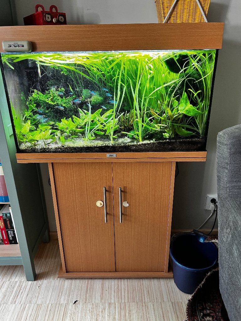 Aquarium (80liter) ter gratis overname, Ophalen, Gebruikt, Inclusief vissen, Gevuld zoetwateraquarium