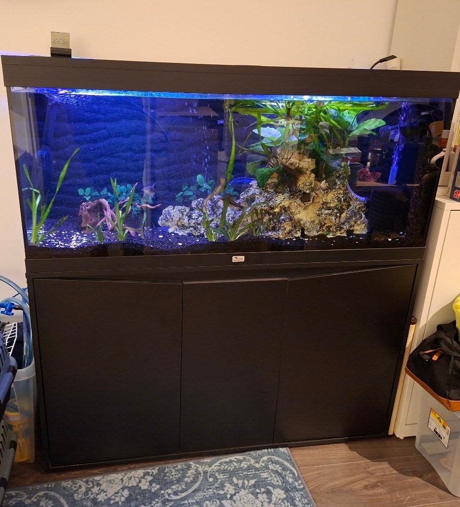 Aquarium 'Aquatlantis Volga 240', Dieren en Toebehoren, Ophalen, Gebruikt, Aquariummeubel, Aquatlantis