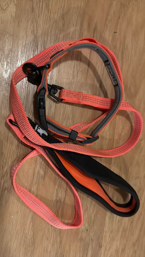 Halsband + hondenlijn, Ophalen of Verzenden, Zo goed als nieuw