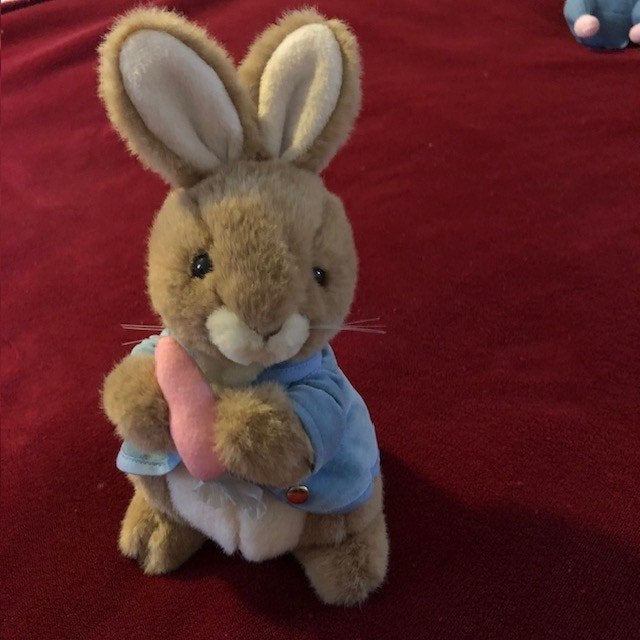 Beatrix Potter Peter Rabbit Knuffel Pluche Konijn, Eden 26cm, Ophalen of Verzenden, Gebruikt, Dier
