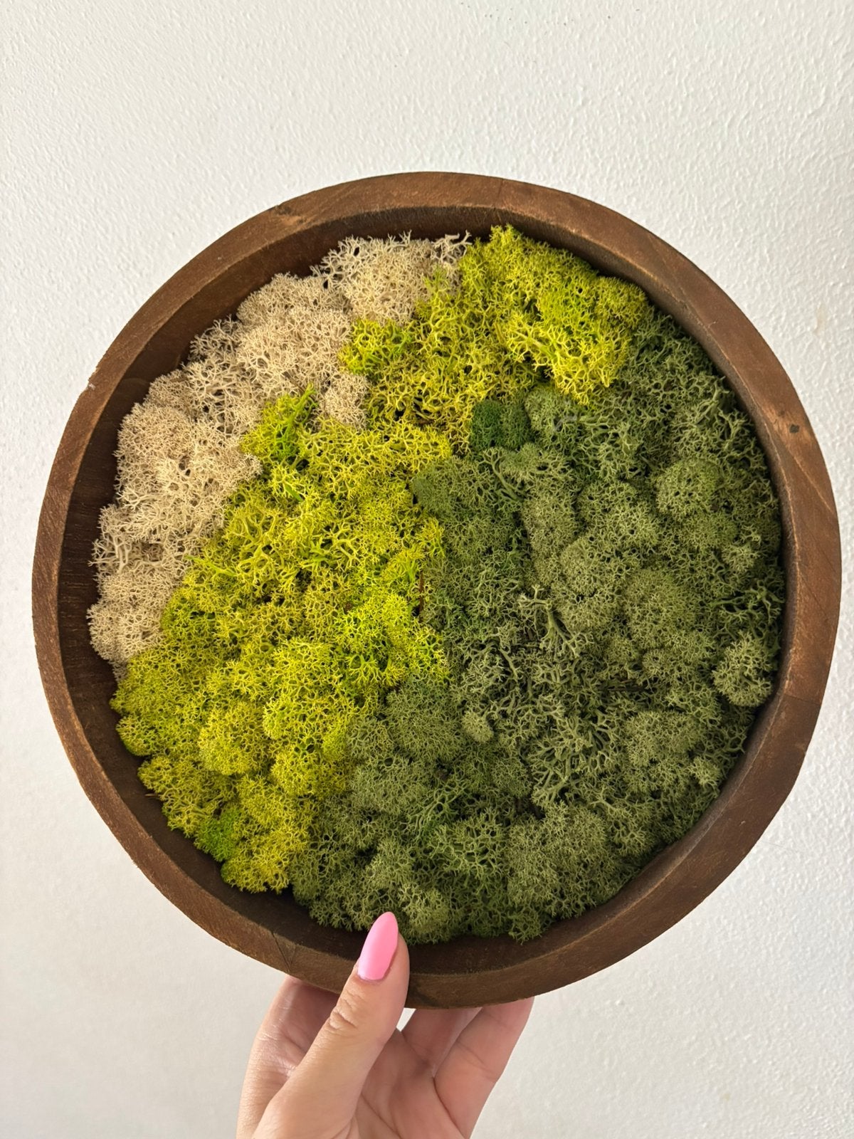 Wanddecoratie met echt mos 26 cm van intratuin, Ophalen of Verzenden, Zo goed als nieuw