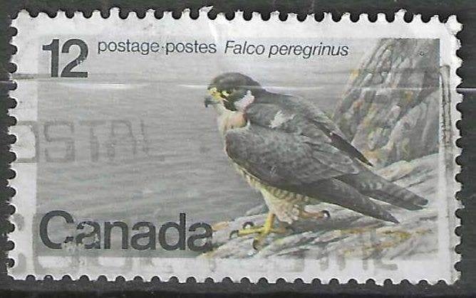 Canada 1977 - Yvert 654 - De Slechtvalk - 12 c. (ST), Verzenden, Gestempeld, Noord-Amerika